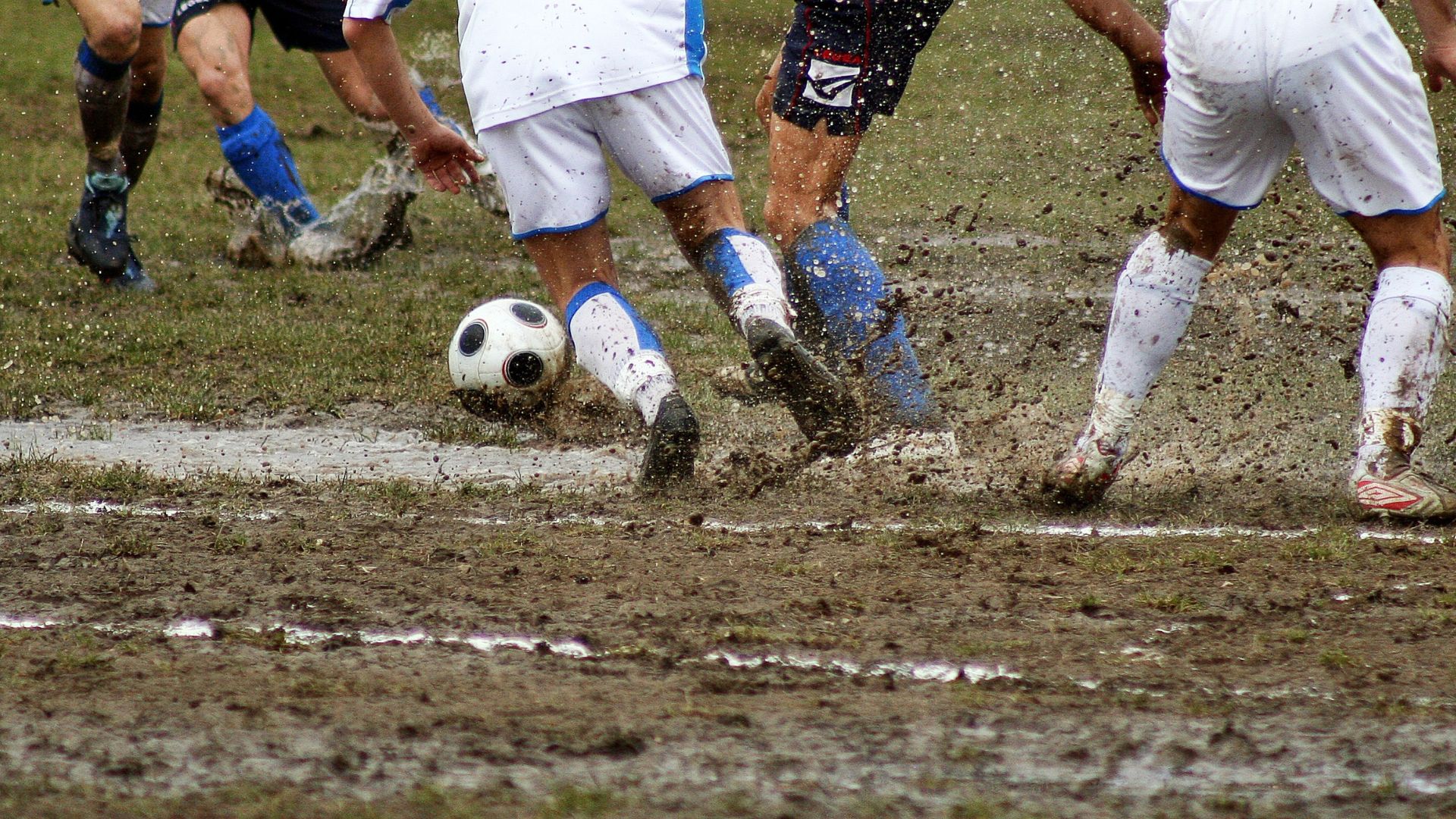United F.C. International Academy